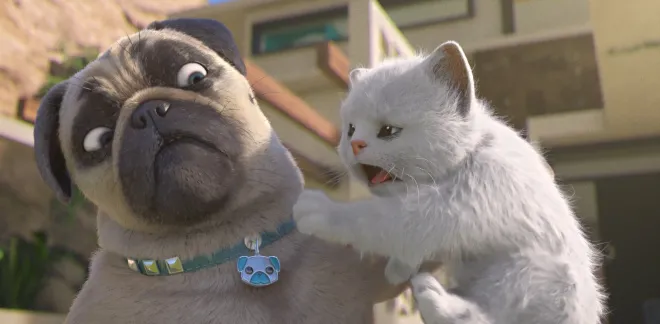 Evil cat - Mighty Mike