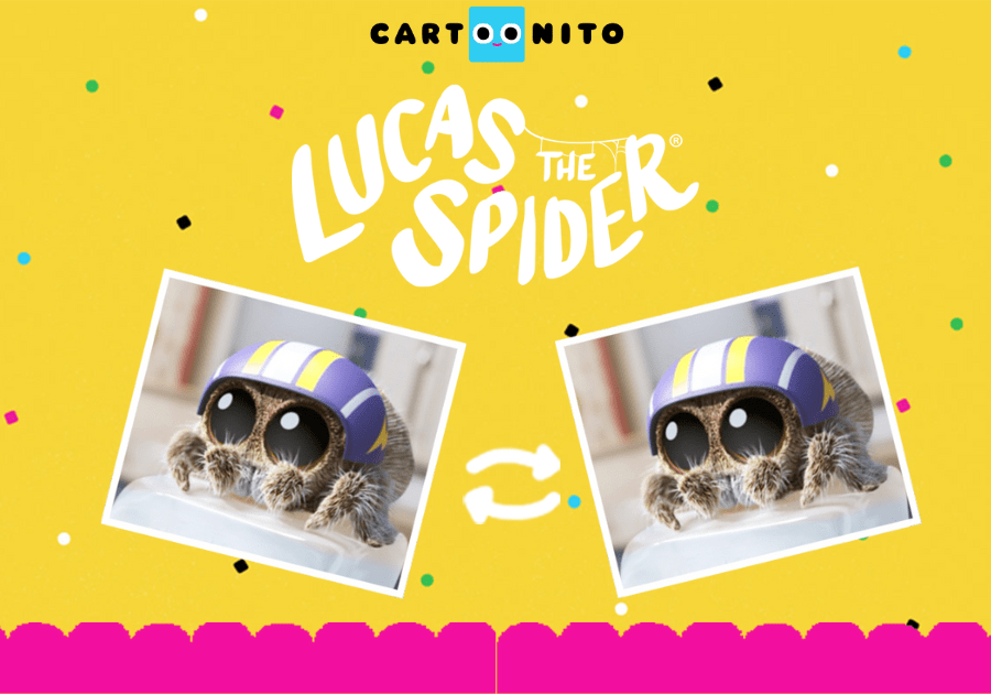 Lucas the Spider - Match Up