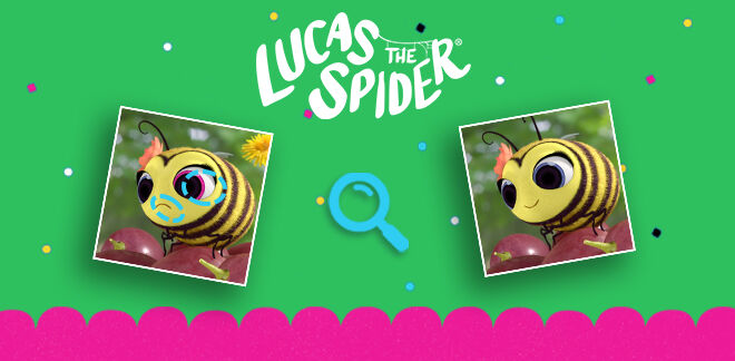 Lucas, die Spinne - Finde den Unterschied